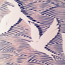 interesting art artwork paperart paper paperartist papercutting birds waves wind wilderness nature free flying daydreaming imagination california