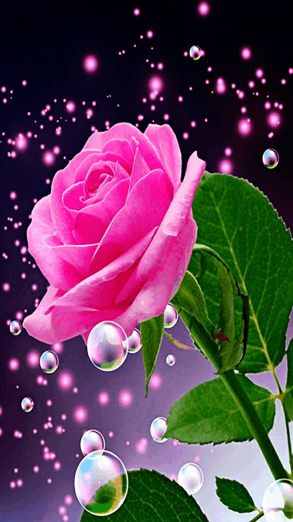 gif flower rose nice love 195349701000202 by @mirorestigorac