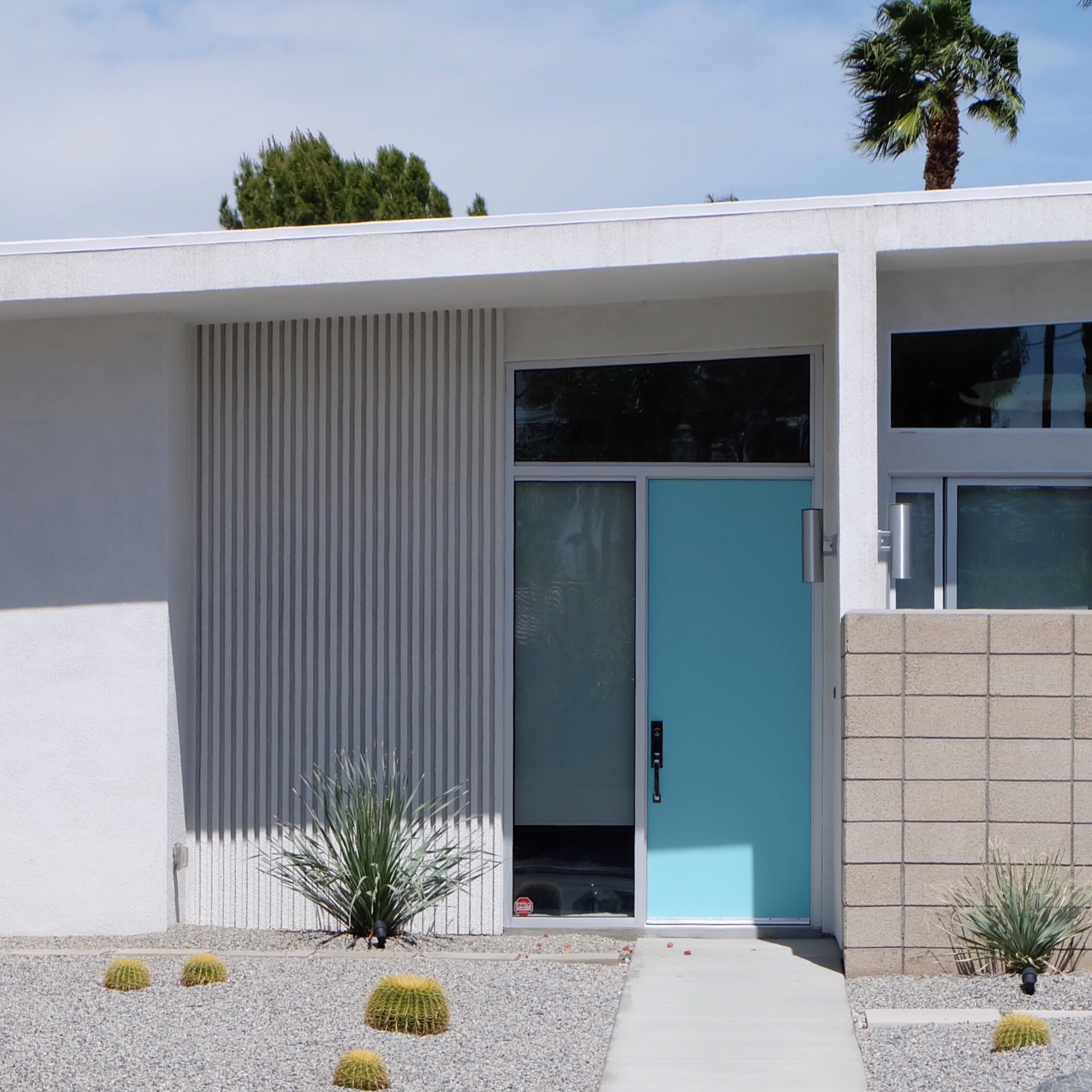 #Houseplants #minimal #retro #architecture #midcentury #tiffanyblue 