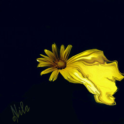 photography freetoedit yellow flower